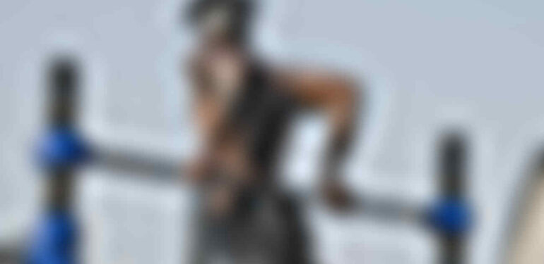 cat_4 masterstudy_placeholder